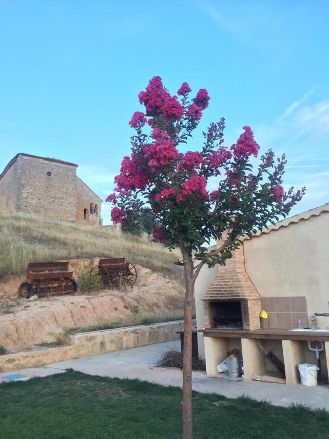 Casa Rural La Charolesa Aguilera Ngoại thất bức ảnh