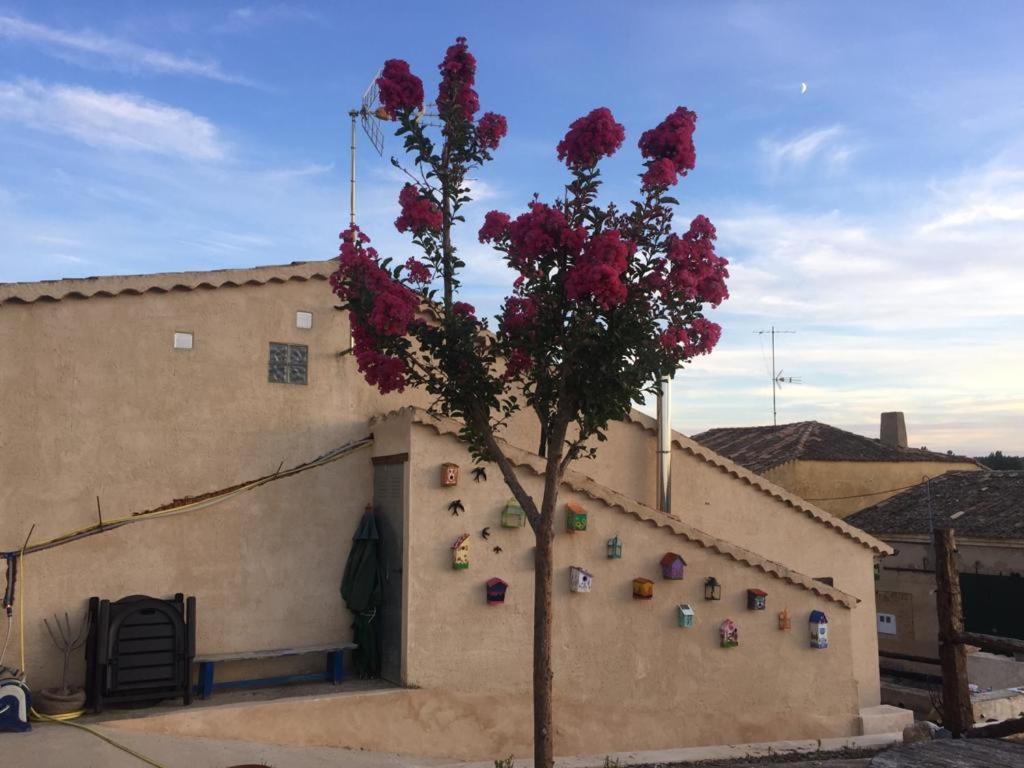Casa Rural La Charolesa Aguilera Ngoại thất bức ảnh